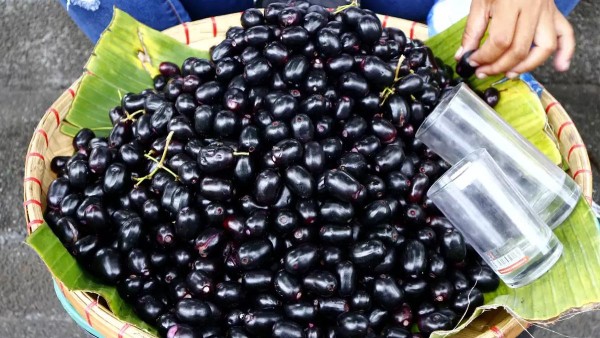 Jamun Fruit
