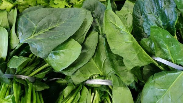 monsoon vegitable to avoid