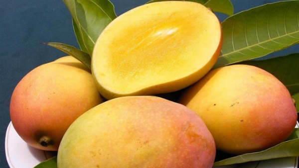 Real vs Fake Mangoes