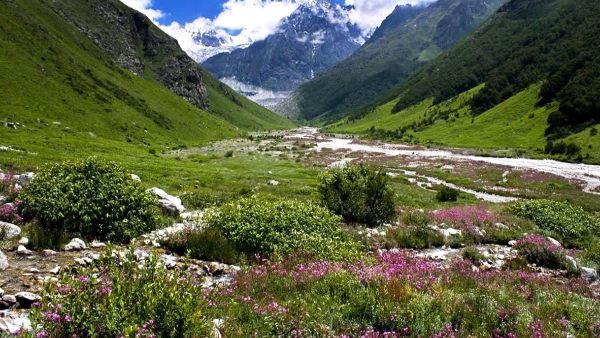 Valley of Flowers