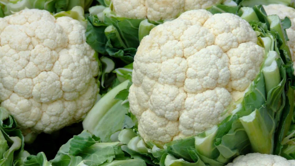 vegetables for monsoon