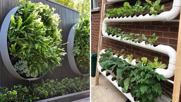 Vertical gardening idea