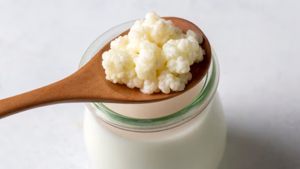 kefir