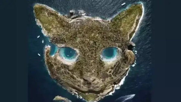 What You See First Reveals Your Personality What Caught Your Eye