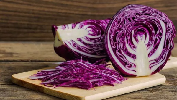 red or purple cabbage