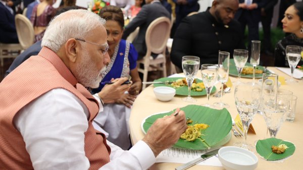 Sohari Leaf Sohari Leaf