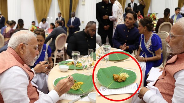 What Is Sohari Leaf What Is Sohari Leaf