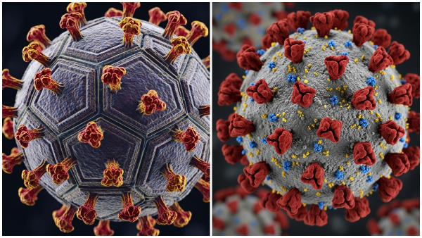 Scientists Discover Friendly Virus That Fights Cancer Without Harming The Body