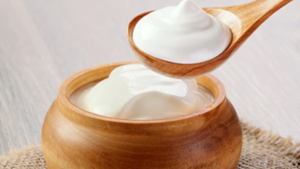 curd benefits for health curd benefits for health