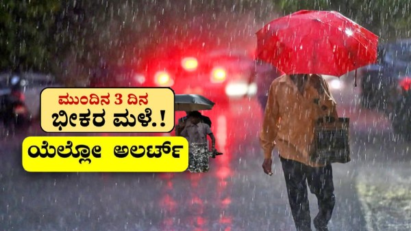 Heavy Rain in These Districts Till August 8