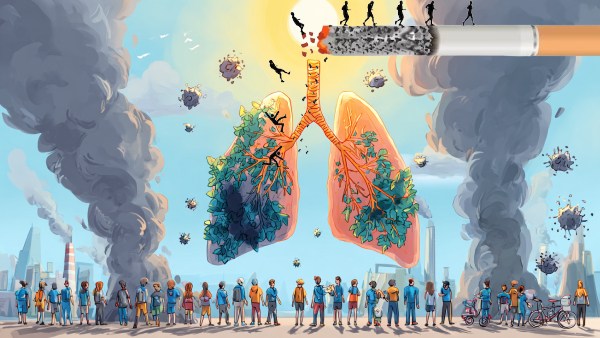 lungs