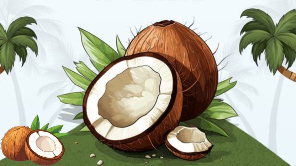 Coco de Mer coconut