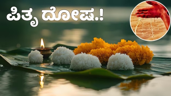 Don t Buy These New Things During Pitru Paksha