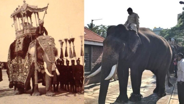 Do You Know Which Elephant That Carried The Golden Howdah For The First Time