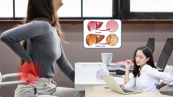 fatty liver risk from sitting too long