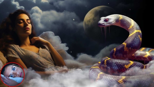 meaning of Seeing snakes in dreams
