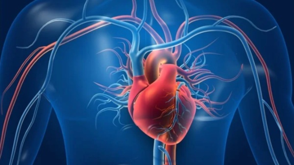 pranayama for heart health