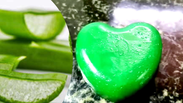 Make aloe vera soap at home in just 5 minutes it s easier than you think