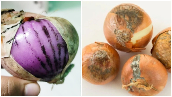 Why Onions Will Turn Black Should We Eat How To Prevent Becoming Black
