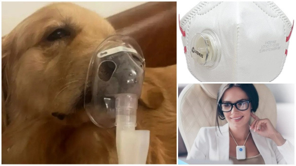 Can An Air Purifier Help Prevent Pollution