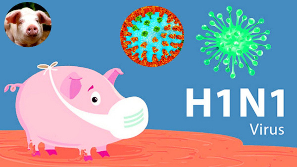 Growing Concern Over Swine Flu Which Groups Should Take Extra Precautions