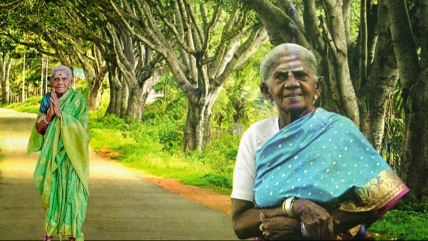 Saalumarada Thimmakka Death