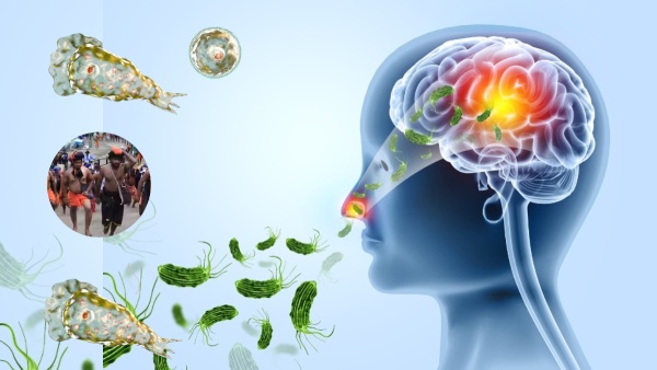 what is brain eating amoeba