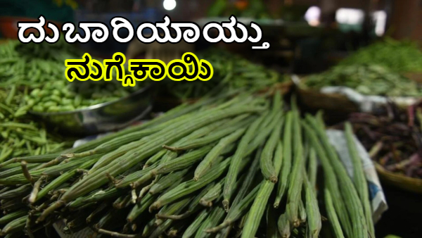 Drumstick Price Hike