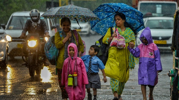 Karnataka Weather Update Light Rain Likely In These Districts On December 31