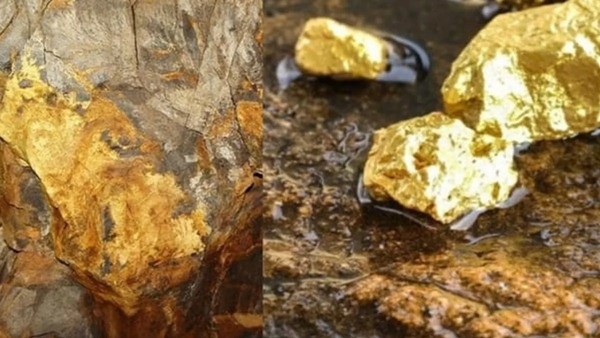 This Mine Produces 8 000 kg Of Gold Per Year
