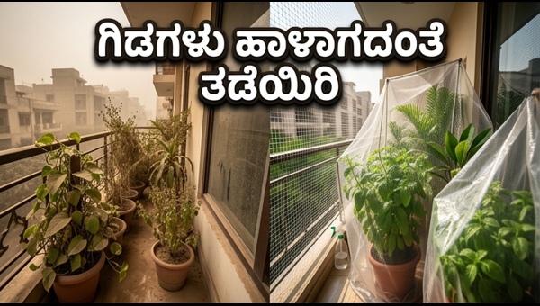 Delhi-NCR Dust Storm Alert: Essential Tips to Protect Your Balcony Garden and Home