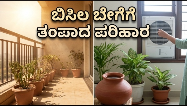 Heatwave Alert: Simple Tips to Keep Your Home Cool and Stay Safe in Extreme Summer Heat