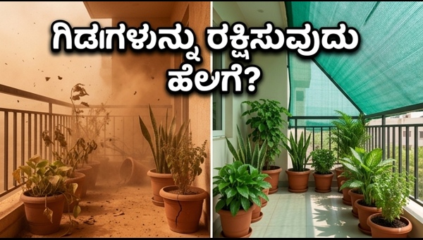 Weather Alert 2026: How to Protect Your Balcony Plants and Home from Storms and Heatwaves