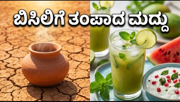 Heat Wave Safety Tips: Essential Diet and Hydration Guide for 2026