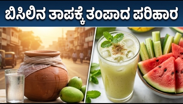 Heat Wave Tips 2026: Best Diet and Hydration Guide to Beat the Scorching Indian Summer Heat