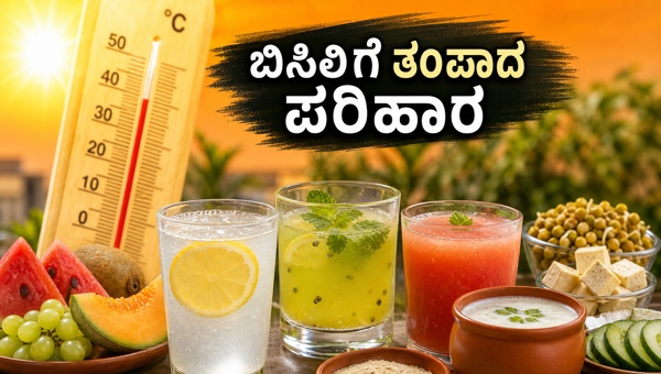 Heatwave Hydration Tips: Best Summer Diet and Cooling Foods to Beat 44°C Heat in India 2026