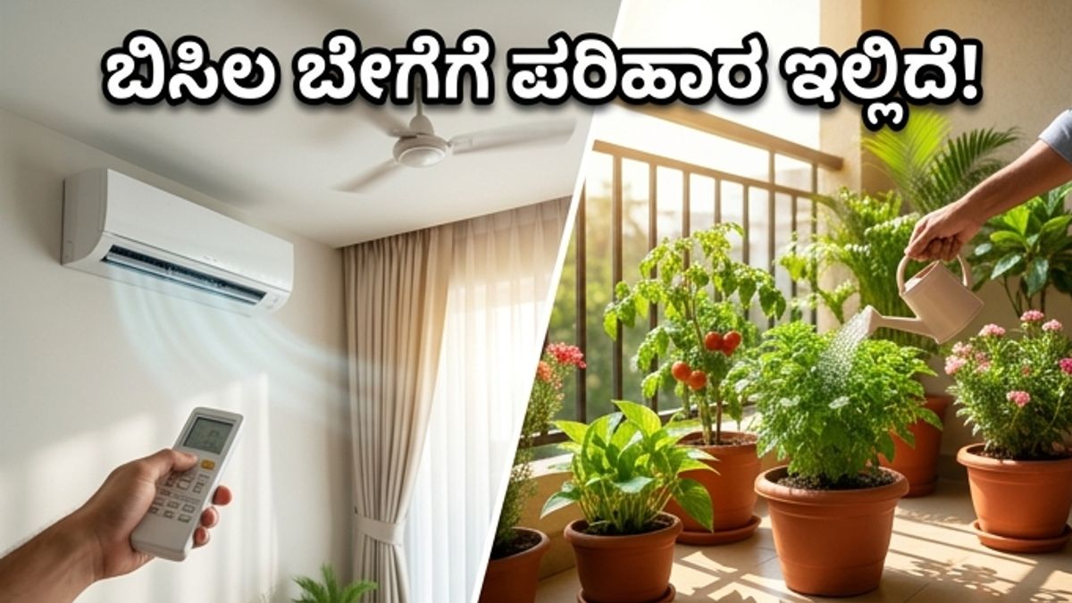 ಬಿಸಿಗಾಳಿಯ ಅಬ್ಬರ ಶುರು: ನಿಮ್ಮ ಮನೆ ತಂಪಾಗಿರಲು ಮತ್ತು ಗಿಡಗಳನ್ನು ಉಳಿಸಲು ಈ ಸೀಕ್ರೆಟ್ ಟಿಪ್ಸ್ ಮಿಸ್ ಮಾಡ್ಬೇಡಿ!