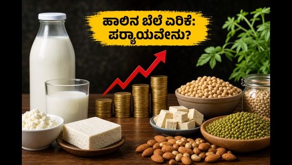 Milk Price Hike 2026: Smart Ways to Save Money and Maintain Nutrition with Healthy Alternatives Milk Price Hike 2026: Smart Ways to Save Money and Maintain Nutrition with Healthy Alternatives