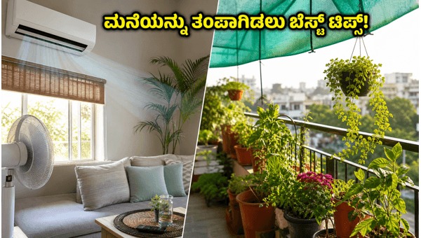 Heatwave Tips 2026: How to Keep Your Home Cool and Protect Balcony Plants in North India Heatwave Tips 2026: How to Keep Your Home Cool and Protect Balcony Plants in North India