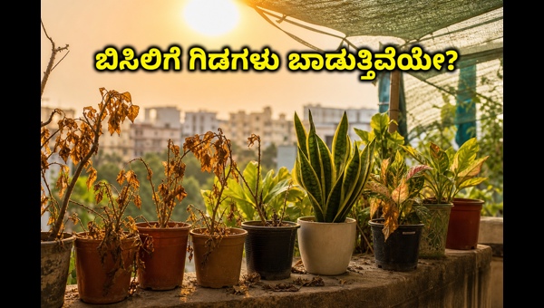 Balcony Garden Protection: Smart Tips to Save Your Plants from Extreme Summer Heatwave in 2026
