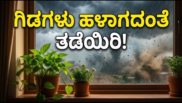 Balcony Garden Protection: Essential Tips to Save Your Plants During Storms and Heavy Rain in 2026