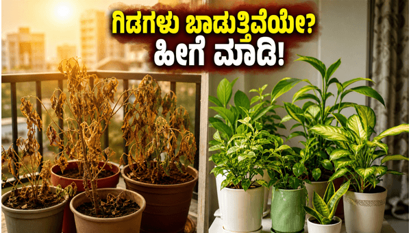 Summer Plant Care Tips: Protect Your Balcony Garden from Extreme Heatwaves in 2026. Simple DIY Tricks to Keep Your Plants Green and Cool. Summer Plant Care Tips: Protect Your Balcony Garden from Extreme Heatwaves in 2026. Simple DIY Tricks to Keep Your Plants Green and Cool.