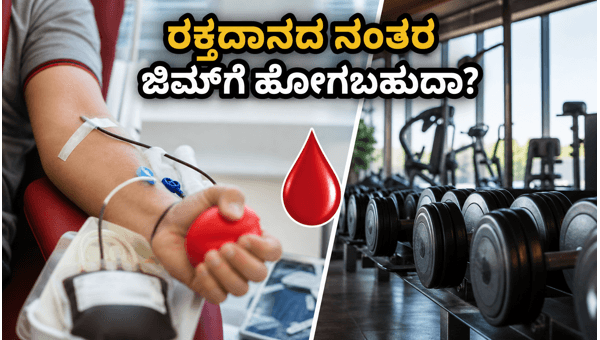 Blood Donation and Exercise: Can You Go to the Gym After Donating? Safety Tips for 2026 Blood Donation and Exercise: Can You Go to the Gym After Donating? Safety Tips for 2026
