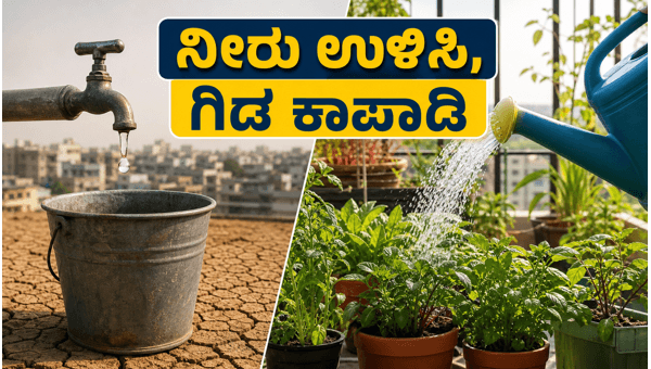 Delhi Water Crisis 2026: Smart Tips to Save Water and Protect Balcony Plants at Home