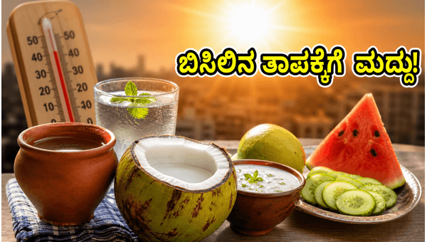 Heat Alert 2026: Best Foods and Health Tips to Stay Cool and Beat the Heat