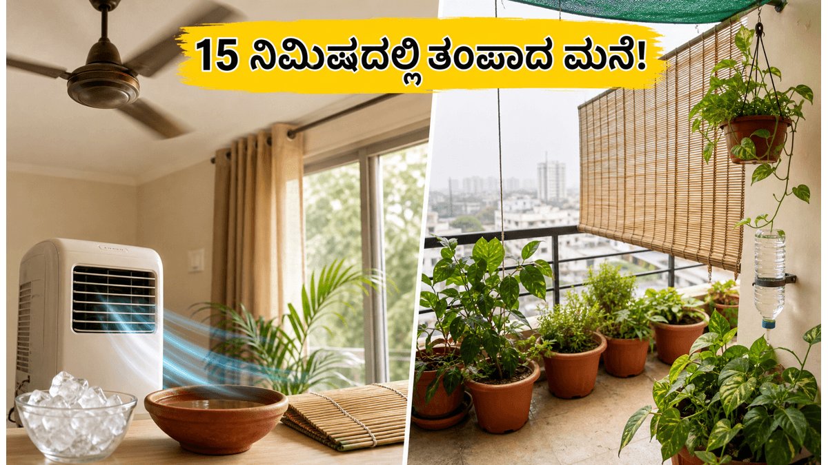 ಮುಂಬೈ ಬಿಸಿಲು ಮತ್ತು ಆರ್ದ್ರತೆ: 15 ನಿಮಿಷದಲ್ಲಿ ನಿಮ್ಮ ಮನೆಯನ್ನು ತಂಪಾಗಿರಿಸುವ ಸರಳ ಉಪಾಯಗಳು!