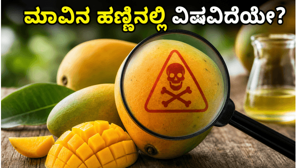 Mango Safety Alert: How to Identify Chemically Ripened Fruits and Avoid Pesticides Mango Safety Alert: How to Identify Chemically Ripened Fruits and Avoid Pesticides