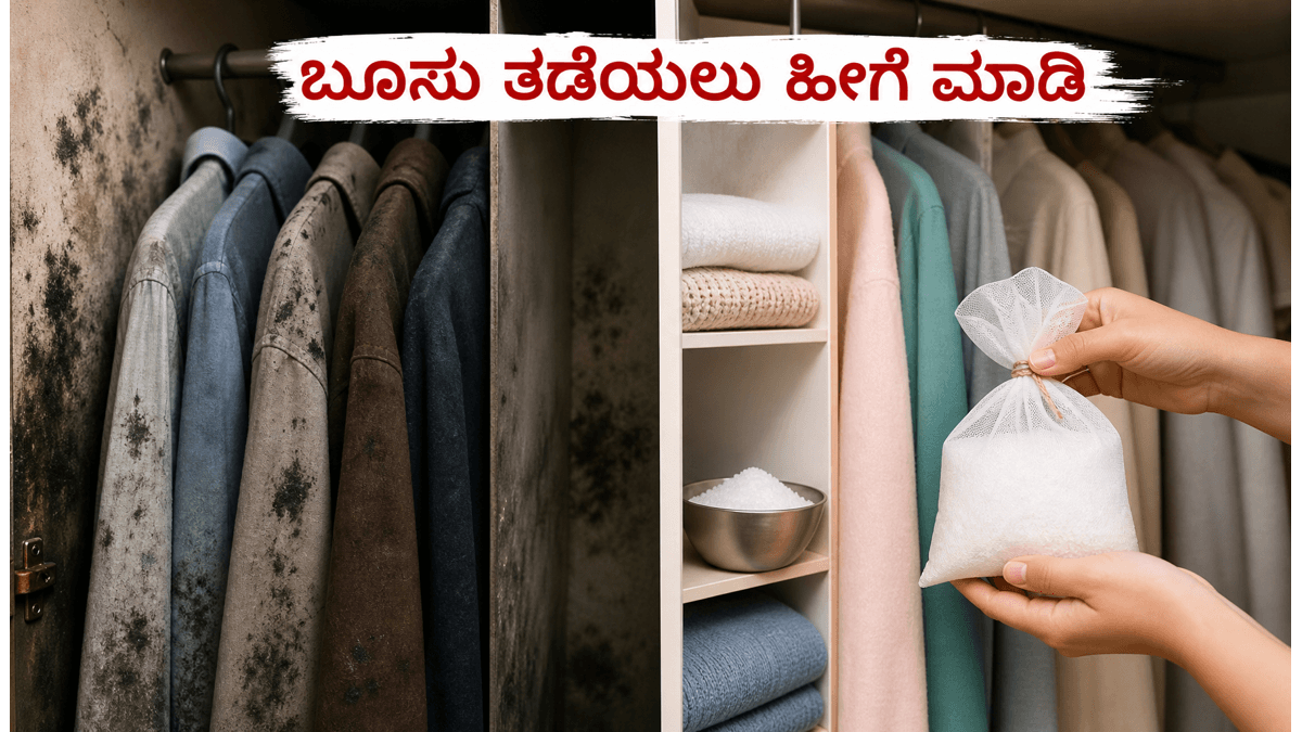 ಮಳೆಗಾಲದಲ್ಲಿ ಮನೆಯ ಪೀಠೋಪಕರಣ ಹಾಳಾಗುತ್ತಿದೆಯೇ? ಬೂಸು ತಡೆಯಲು ಈ ಸರಳ ಟಿಪ್ಸ್ ಪಾಲಿಸಿ