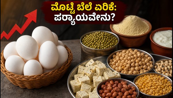 Bengaluru Egg Price Hike 2026: Best Budget-Friendly Protein Alternatives for Families Bengaluru Egg Price Hike 2026: Best Budget-Friendly Protein Alternatives for Families
