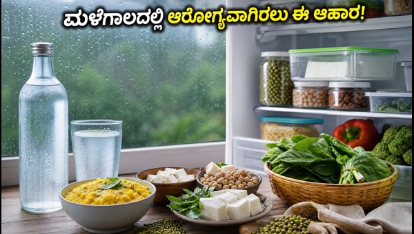 Monsoon Health Tips 2026: Best Affordable Protein Foods to Stay Healthy and Prevent Infections Monsoon Health Tips 2026: Best Affordable Protein Foods to Stay Healthy and Prevent Infections